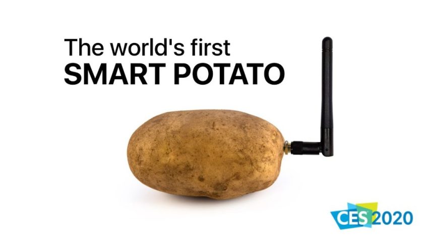 smart-potato-1024x576